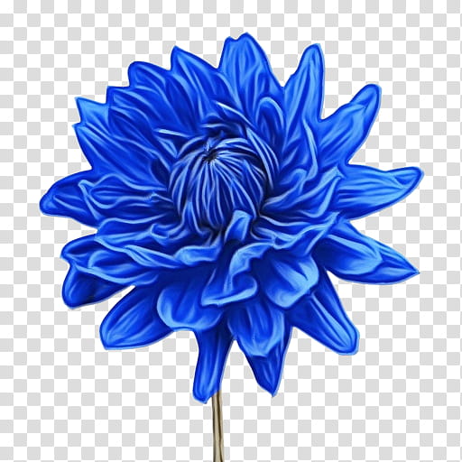 Blue Watercolor Flowers, Paint, Wet Ink, Watercolor Painting, Drawing, Cut Flowers, Floral Design, Dahlia transparent background PNG clipart