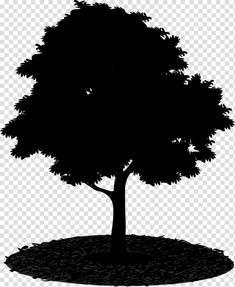 Cartoon Nature, Tree, Landscape, Pond, Water, Wood, Silhouette, Fukei transparent background PNG clipart