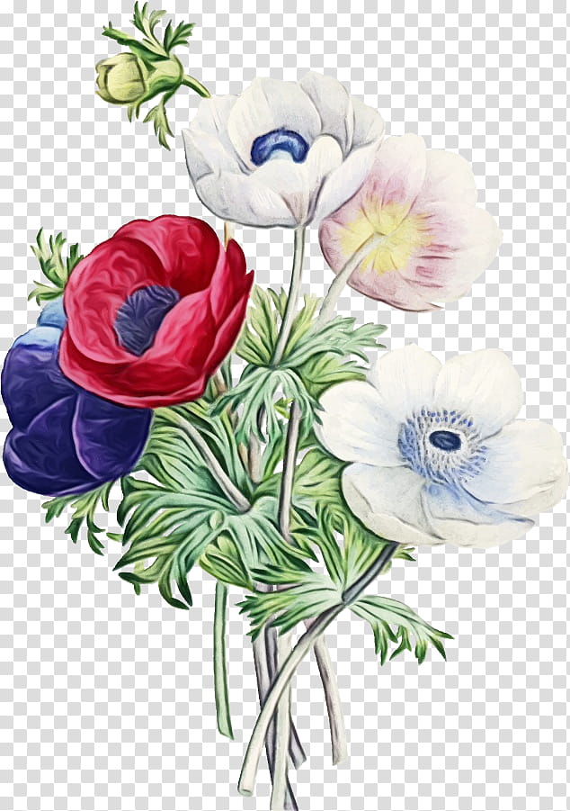 Bouquet Of Flowers Drawing, Watercolor, Paint, Wet Ink, Floral Design, Anemone, Flower Bouquet, Television transparent background PNG clipart