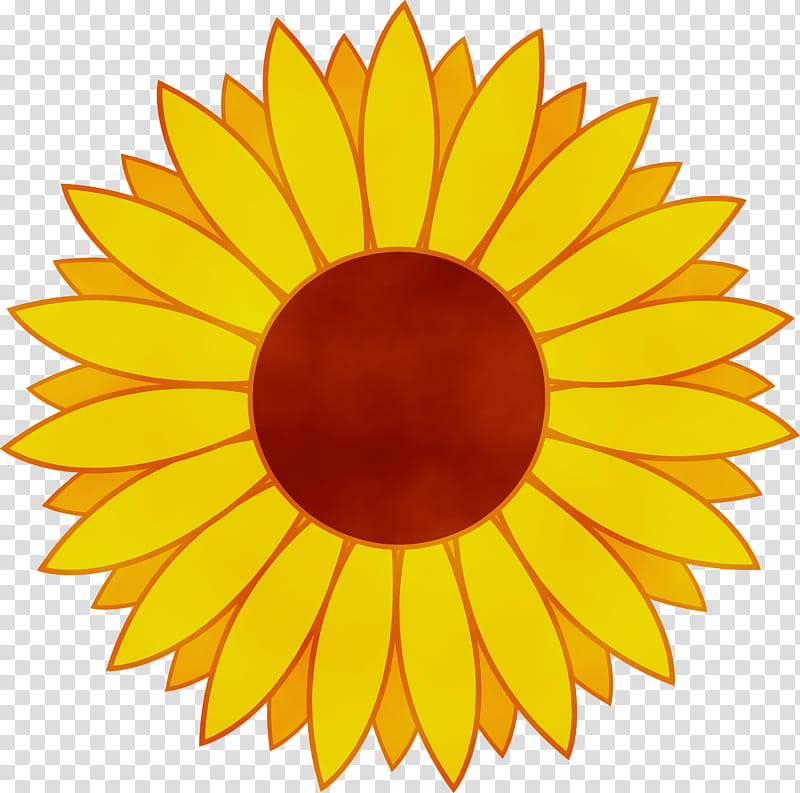 Circle Design, Sunflower, Yellow, Orange, Plant, Petal, Daisy Family, Asterales transparent background PNG clipart