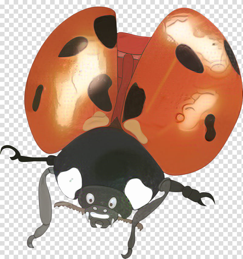 Ladybird, Beetle, Ladybird Beetle, Rhinoceros Beetles, Insect, Firefly, Cartoon, Orange transparent background PNG clipart