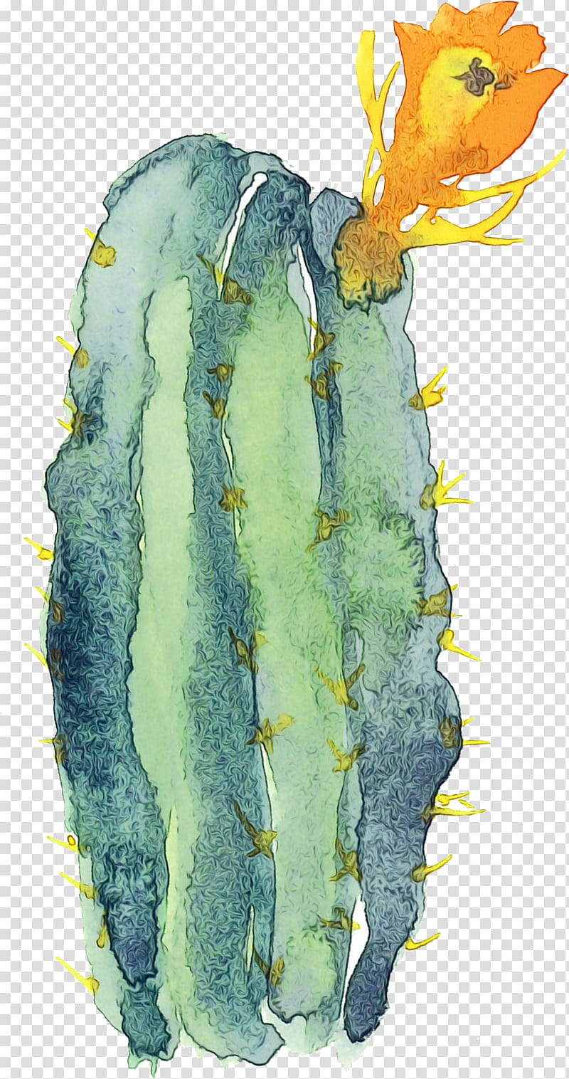Cactus, Watercolor, Paint, Wet Ink, Yellow, Plant, Plant Pathology, Watercolor Paint transparent background PNG clipart
