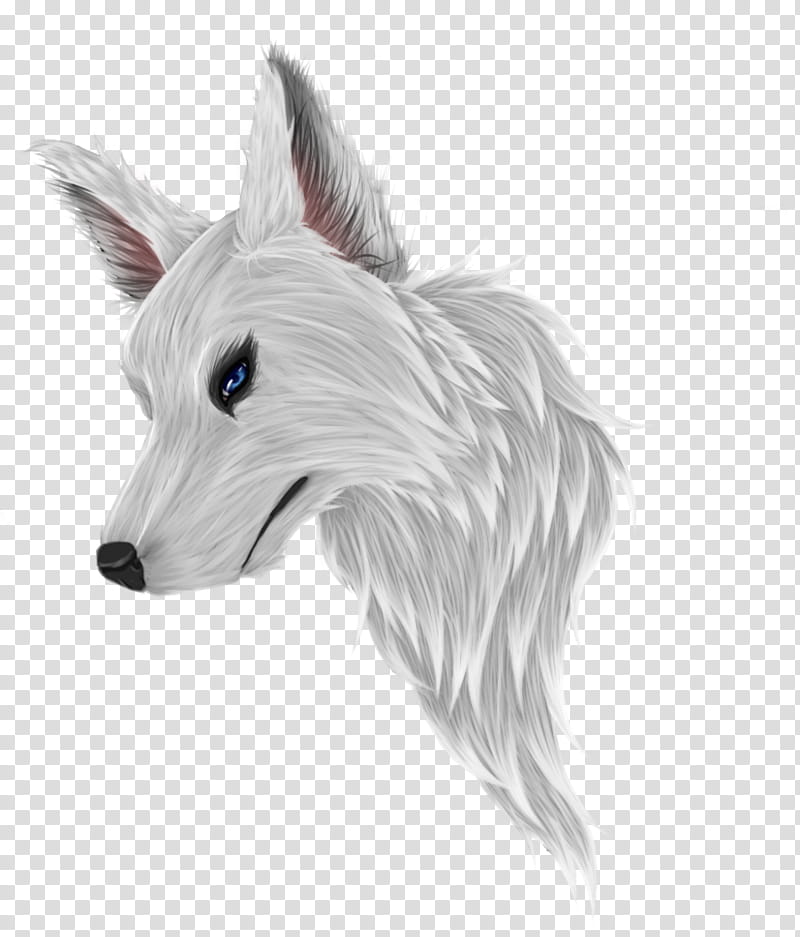 OC: Dire Wolf: Galia transparent background PNG clipart