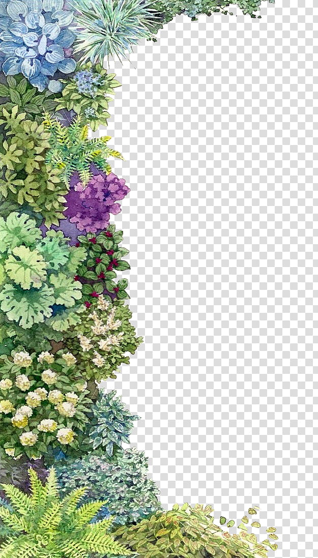 My Garden s, green leafed plants transparent background PNG clipart