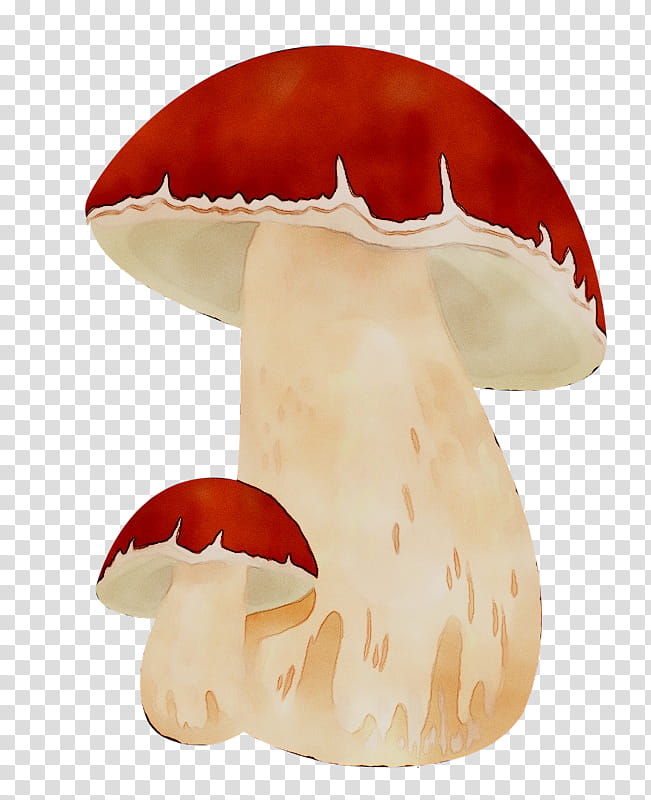 Mushroom, Orange Sa, Agaricomycetes, Fungus, Animal Figure transparent background PNG clipart