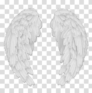 Recursos Alas De Angel , pair of white wings illustration transparent background PNG clipart