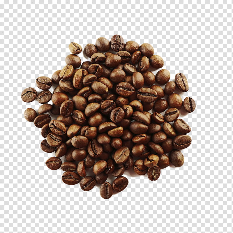 Wedding Plant, Coffee, Coffee Bean, Cafe, Arabica Coffee, Coffee Roasting, Robusta Coffee, Instant Coffee transparent background PNG clipart