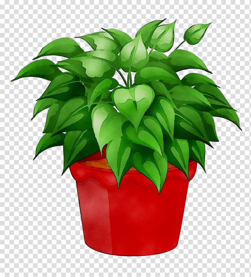 Cartoon Flower, Flowerpot, Leaf, Houseplant, Anthurium, Impatiens, Herb ...