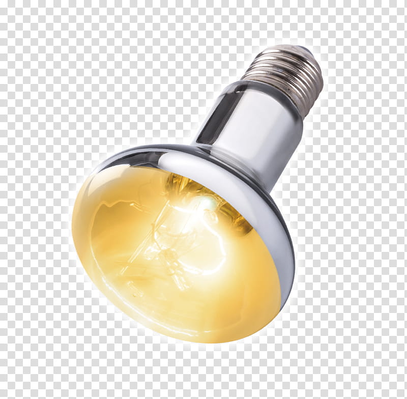 Light Bulb, Lamp, Incandescent Light Bulb, Electric Light, Mercuryvapor Lamp, Fluorescent Lamp, Lighting, Edison Screw transparent background PNG clipart