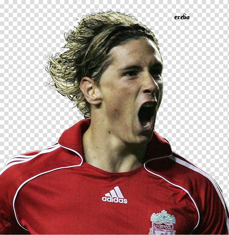 Fernando Torres transparent background PNG clipart