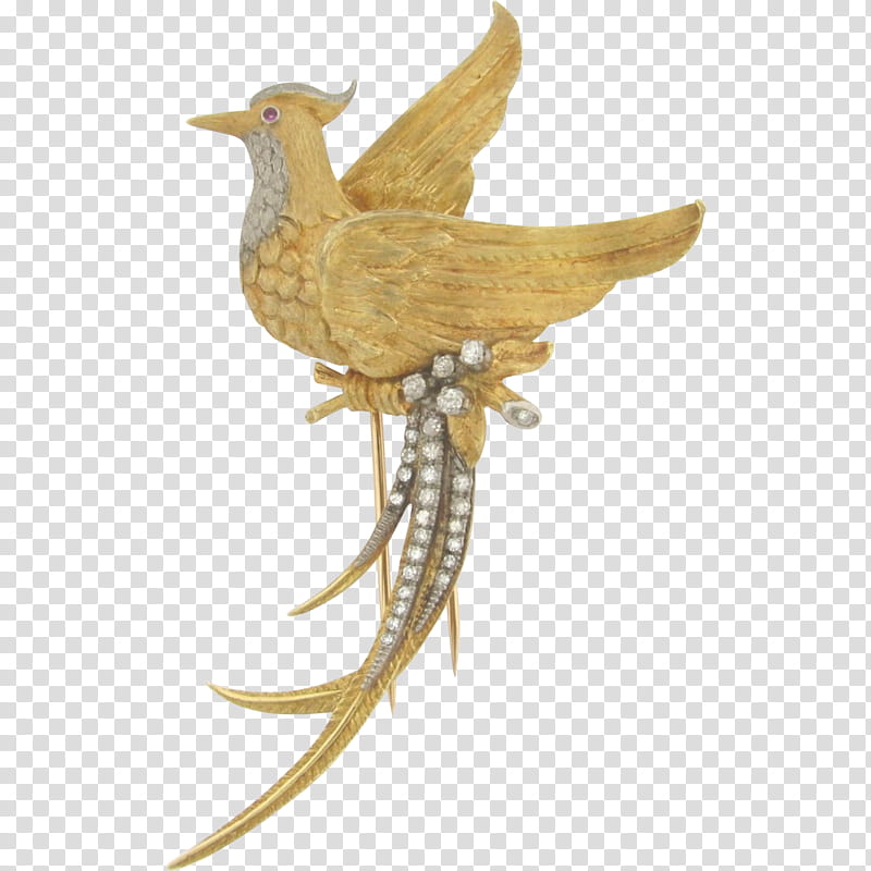 Bird Wing, Beak, Feather, Wood, Metal, Brass transparent background PNG clipart