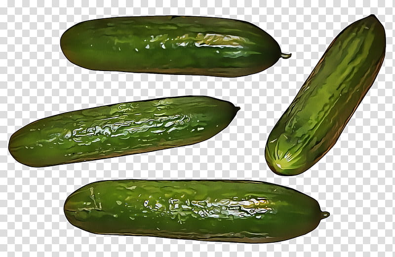 vegetable cucumber, gourd, and melon family cucumber scarlet gourd cucumis, Cucumber Gourd And Melon Family, Plant, Food, Spreewald Gherkins, Zucchini transparent background PNG clipart