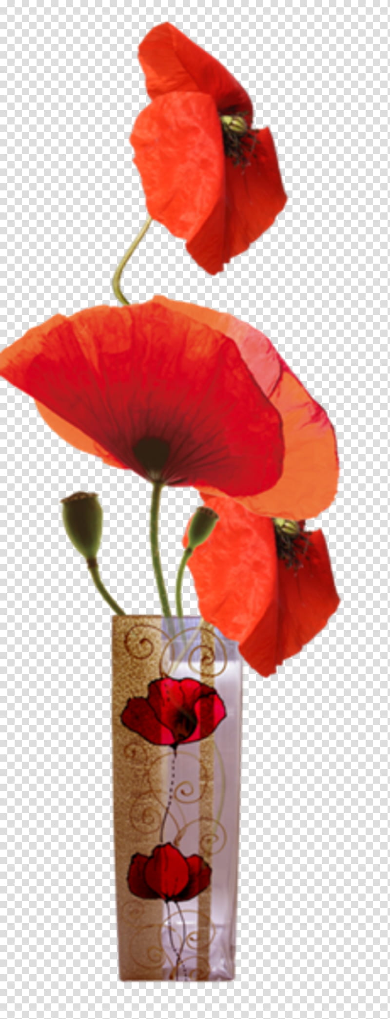 Red Watercolor Flowers, Common Poppy, Painting, Watercolor Painting, Opium Poppy, Vase, Drawing, Plants transparent background PNG clipart