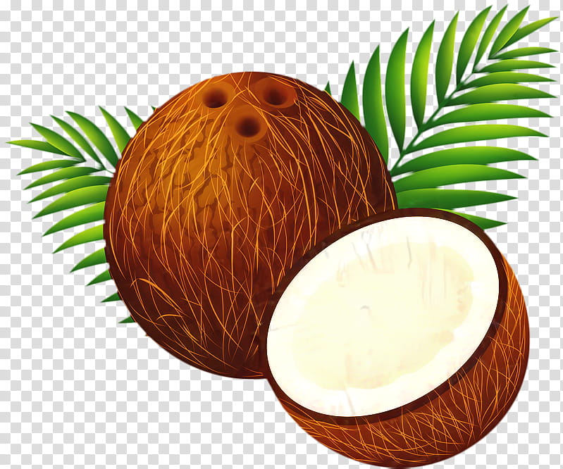 Coconut Tree Drawing, Coconut Water, Nata De Coco, Coconut Milk, Asian Palmyra Palm, Lodoicea, Palm Trees, Arecales transparent background PNG clipart