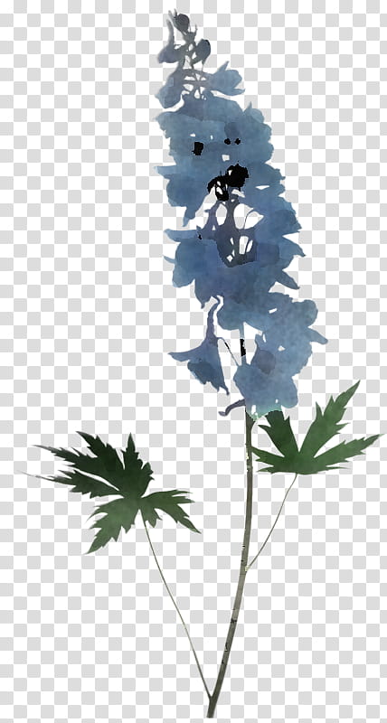flower plant leaf delphinium tree, Plant Stem, Monkshood, Anemone, Wildflower, Bellflower transparent background PNG clipart