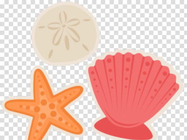 Cake, Seashell, Mollusc Shell, Nautilidae, Drawing, Scallops transparent background PNG clipart