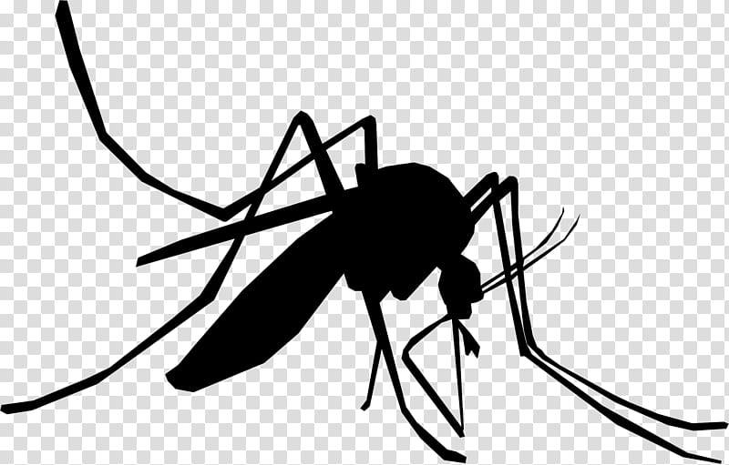 Leaf Fly, Mosquito, Insect, Mosquito Control, Natural Enemies, Health Professional, Biological Pest Control, Health Care transparent background PNG clipart