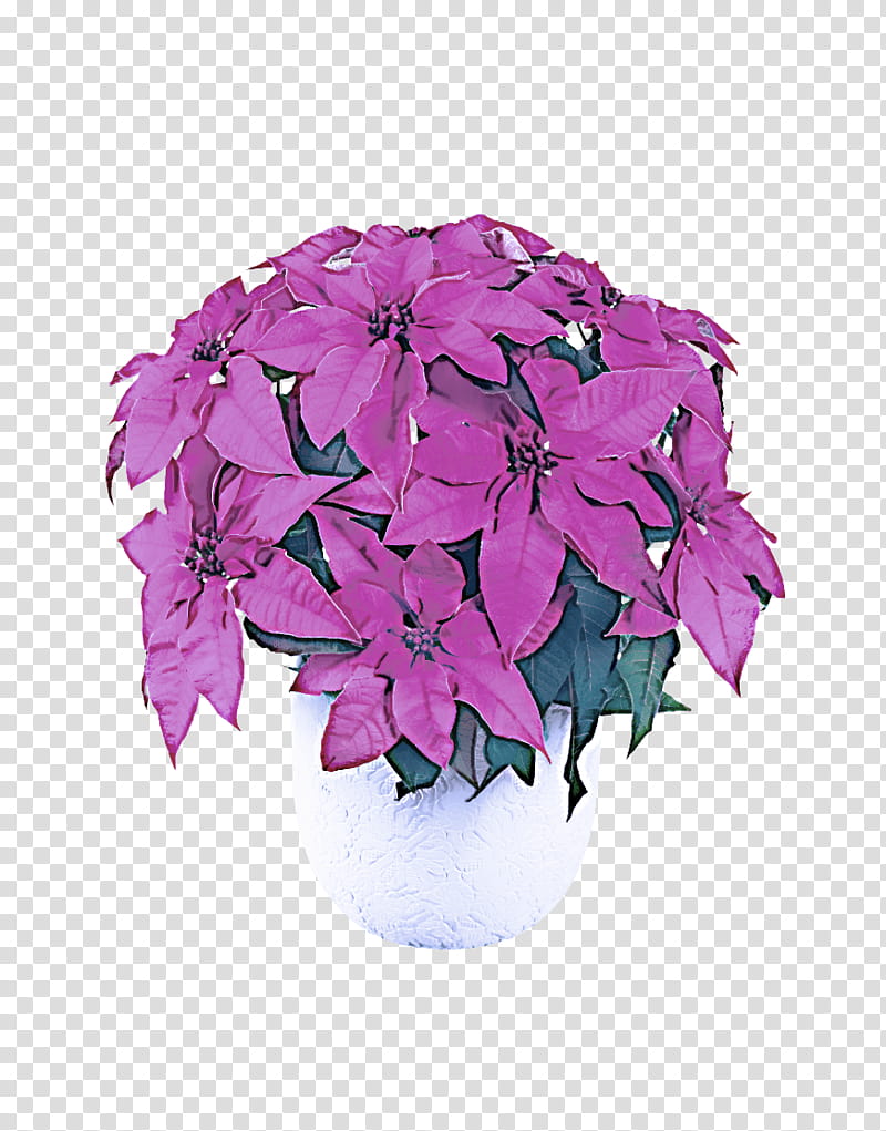 flower plant purple violet pink, Petal, Flowering Plant, Bougainvillea, Impatiens, Magenta transparent background PNG clipart