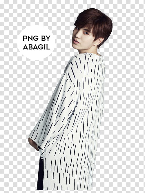 Infinite Sungjong Render transparent background PNG clipart