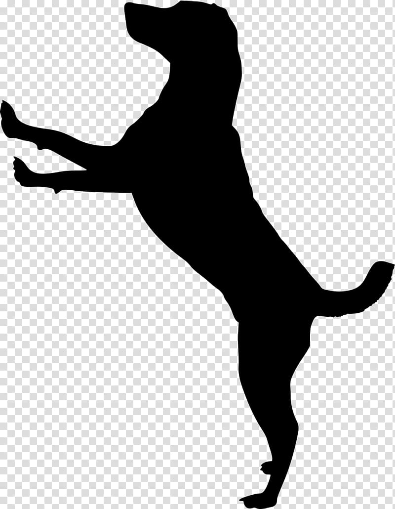 cat and dog silhouette transparent