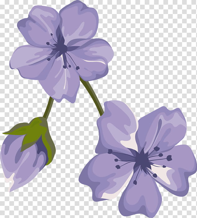 Pink Flower, Purple, Violet, Lilac, Color, Petal, Plant, Lavender transparent background PNG clipart