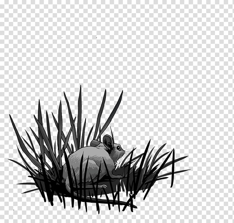 Cartoon Grass, Black White M, Insect, National Geographic, Computer, Tree, Membrane, Narration transparent background PNG clipart