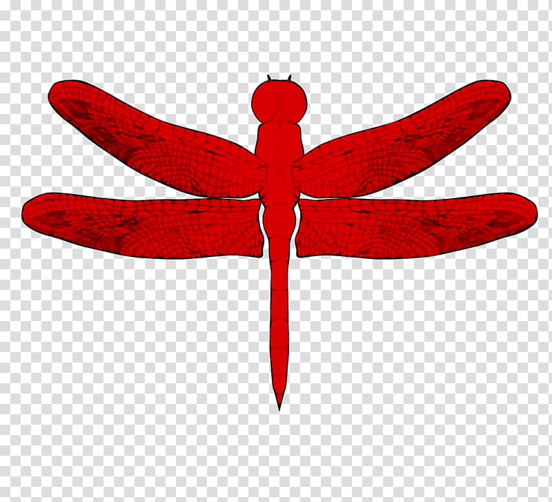 Painting, Dragonfly, Drawing, Insect, Odonate, Dragonflies And Damseflies, Red, Symmetry transparent background PNG clipart