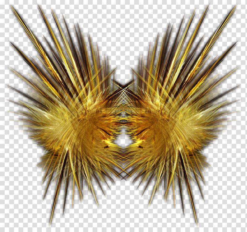 Feathery Fractal Object, yellow burst illustration transparent background PNG clipart