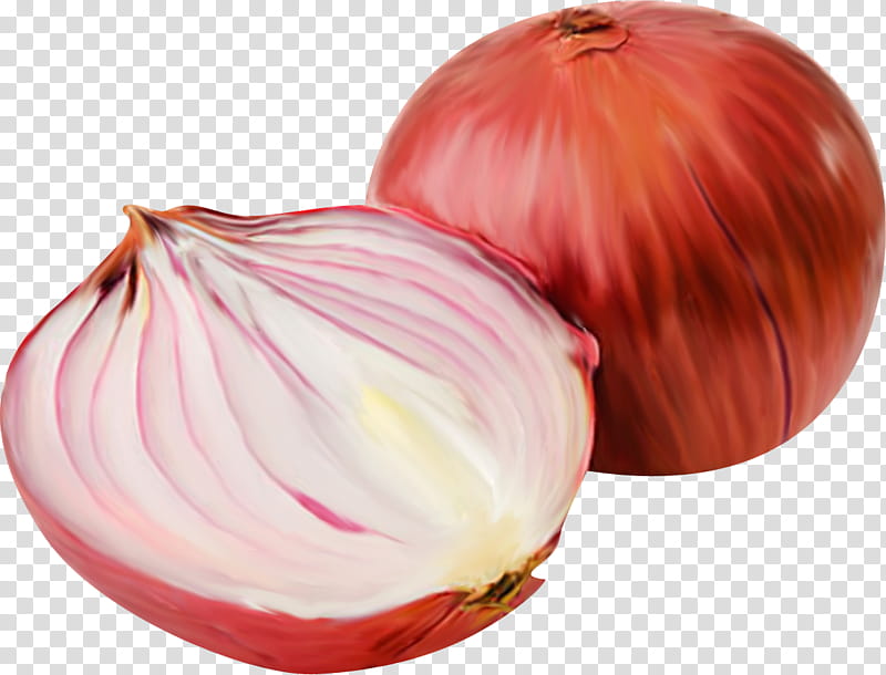 Onion, Vegetable, Red Cooking, Salsa, Vegetarian Cuisine, Red Onion, Shallots, Calabaza transparent background PNG clipart