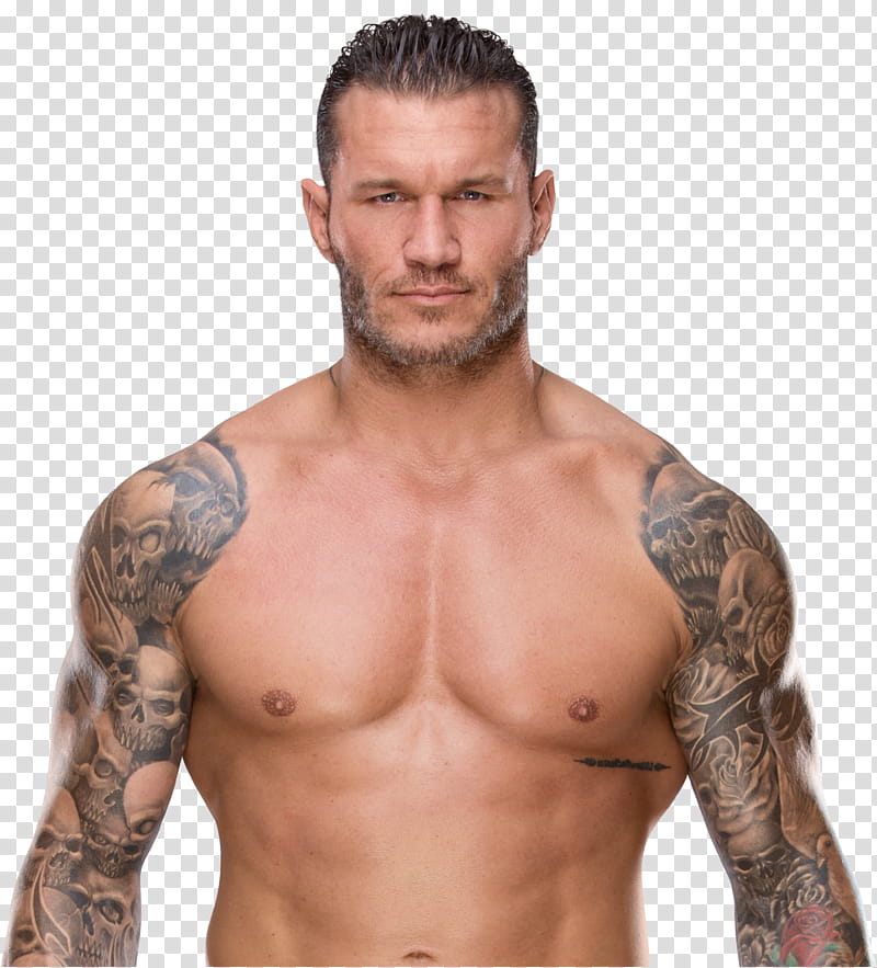 Randy Orton  NEW transparent background PNG clipart