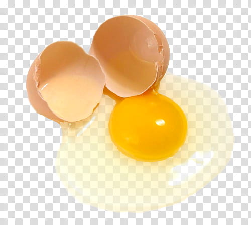 , egg transparent background PNG clipart