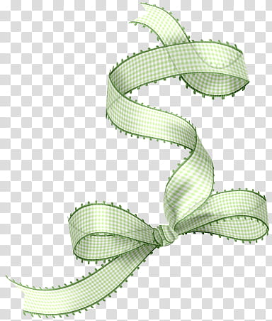 green bowtie illustration transparent background PNG clipart