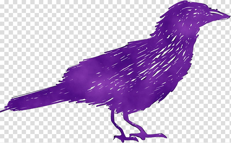 Feather, Watercolor, Paint, Wet Ink, Bird, Beak, Purple, Drawing transparent background PNG clipart