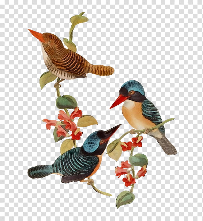 Hummingbird, Watercolor, Paint, Wet Ink, Animal Figure, Figurine, Beak, Coraciiformes transparent background PNG clipart