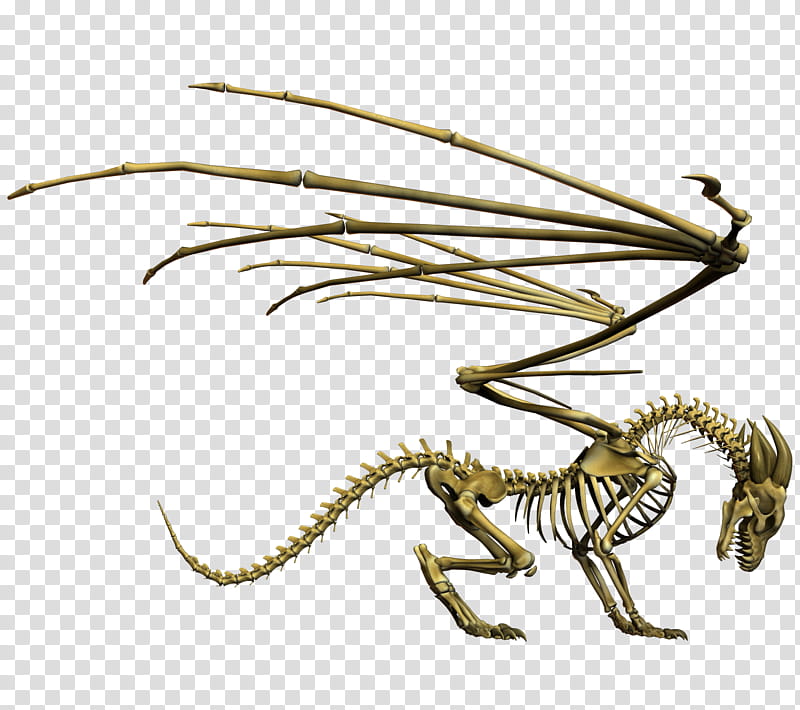 E S Bones, gray skeleton animal with wings illustration transparent background PNG clipart