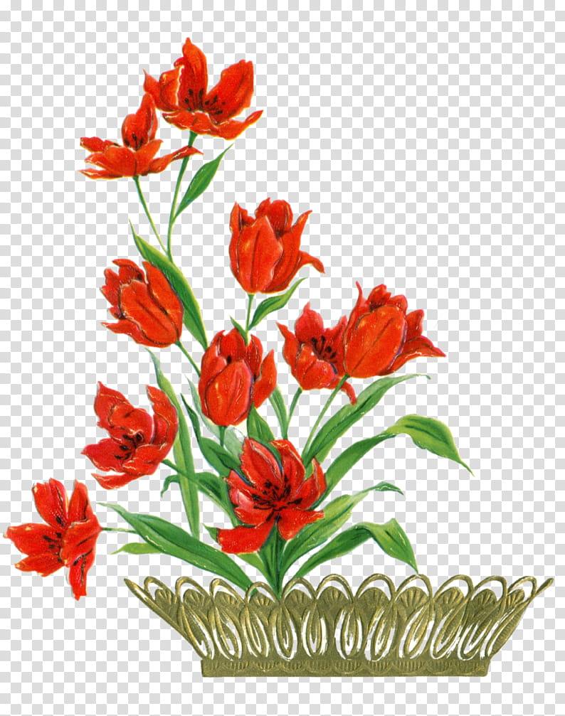 Flower card element, red petaled flowers cartoon transparent background PNG clipart