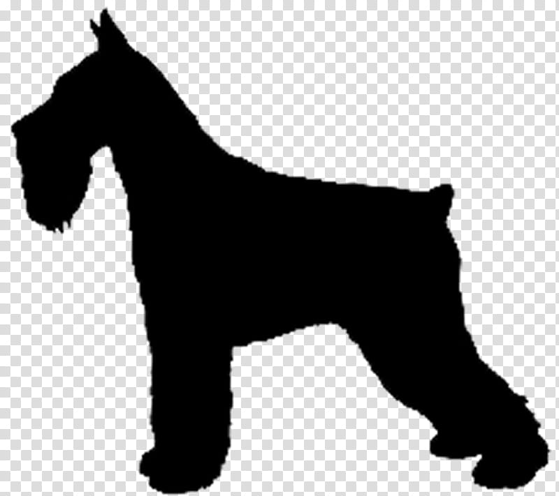 dog miniature schnauzer lakeland terrier welsh terrier irish terrier transparent background PNG clipart
