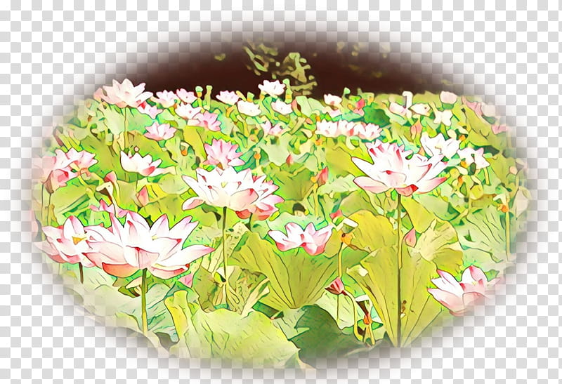 Floral Flower, Floral Design, Flower Bouquet, Flowerpot, Petal, Plant, Dish, Food transparent background PNG clipart