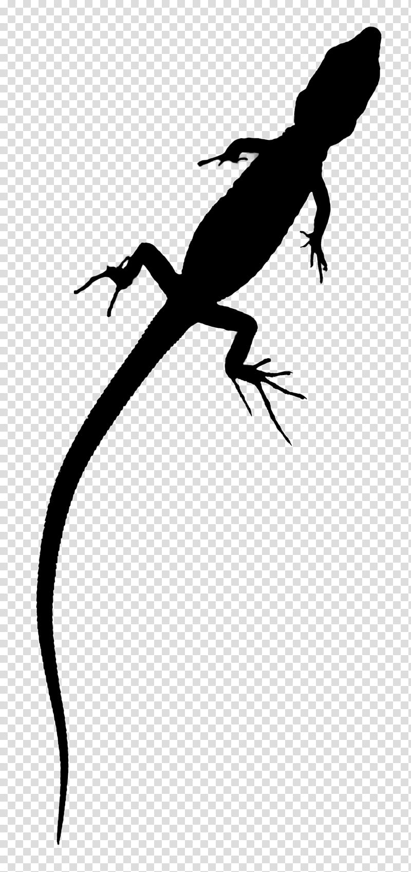 Lizard Lizard, Amphibians, Line, Silhouette, Beak, Reptile, Scaled Reptile, Wall Lizard transparent background PNG clipart