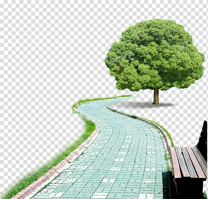 Green Grass, Company, Road, Tree, Natural Landscape, Property, Woody Plant, Urban Design transparent background PNG clipart