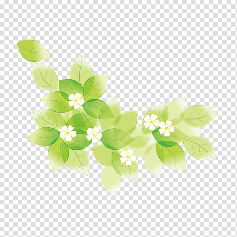 Light Green, Grow Light, Flower, Petal transparent background PNG clipart