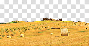 hay field clipart