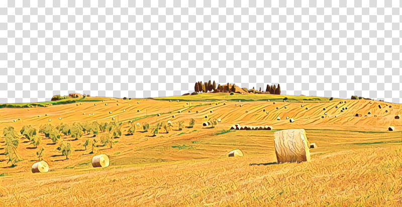 hay field straw farm agriculture, Plain, Land Lot, Rural Area, Grass Family, Harvest, Pasture, Ecoregion transparent background PNG clipart