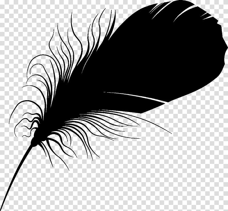 Writing, Feather, Eyelash, Beak, Silhouette, Line, Black M, Quill transparent background PNG clipart