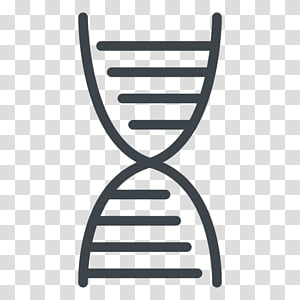 Table, Dna, Nucleic Acid Sequence, Genetics, Thymine, Furniture, Line, Chair transparent background PNG clipart thumbnail