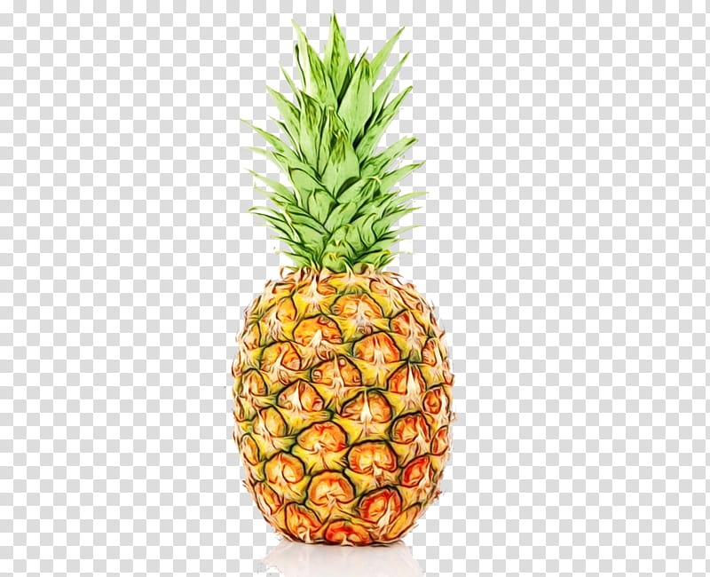 Pineapple Watercolor Paint Wet Ink Ananas Fruit Natural Foods Orange Transparent