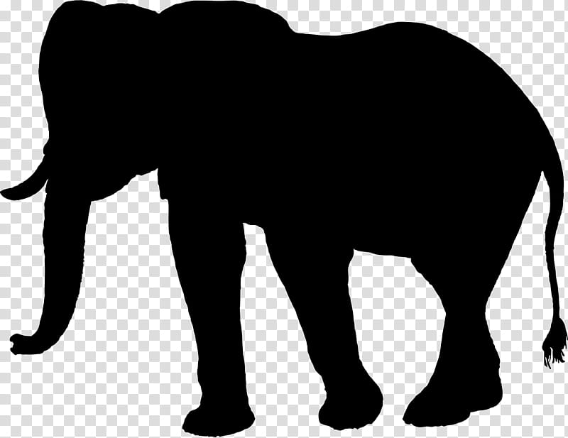 Indian Elephant, Silhouette, Drawing, Asian Elephant, Animal, Black, African Elephant, Wildlife transparent background PNG clipart