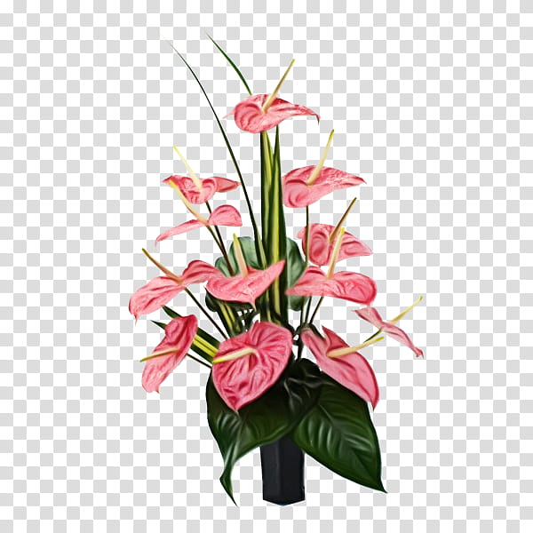 Pink Flower, Flower Bouquet, Floral Design, Cut Flowers, Floristry, Carnation, Bride, Rose transparent background PNG clipart