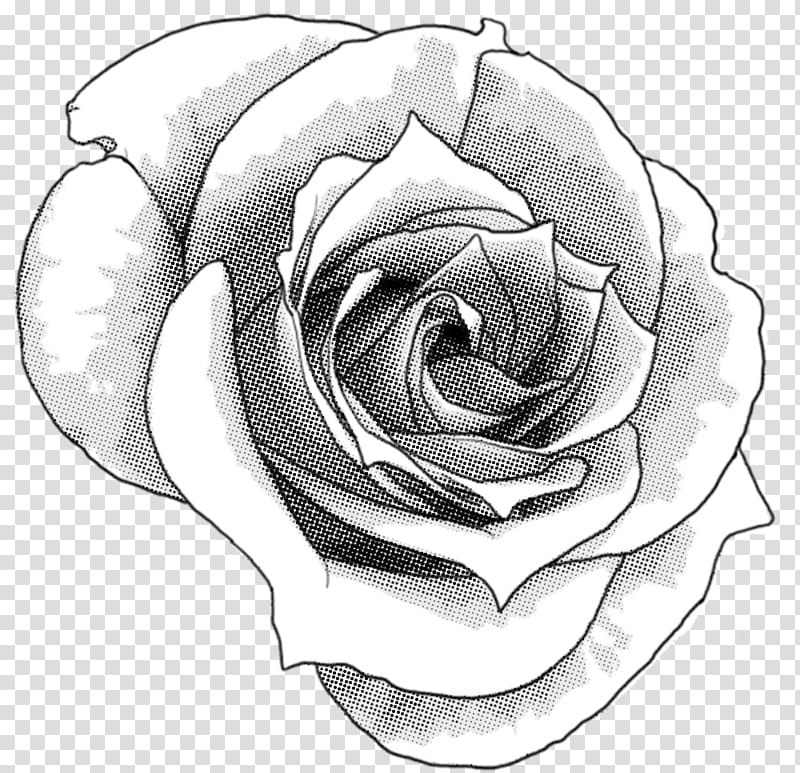 Rose Screentone , grey rose sketch transparent background PNG clipart