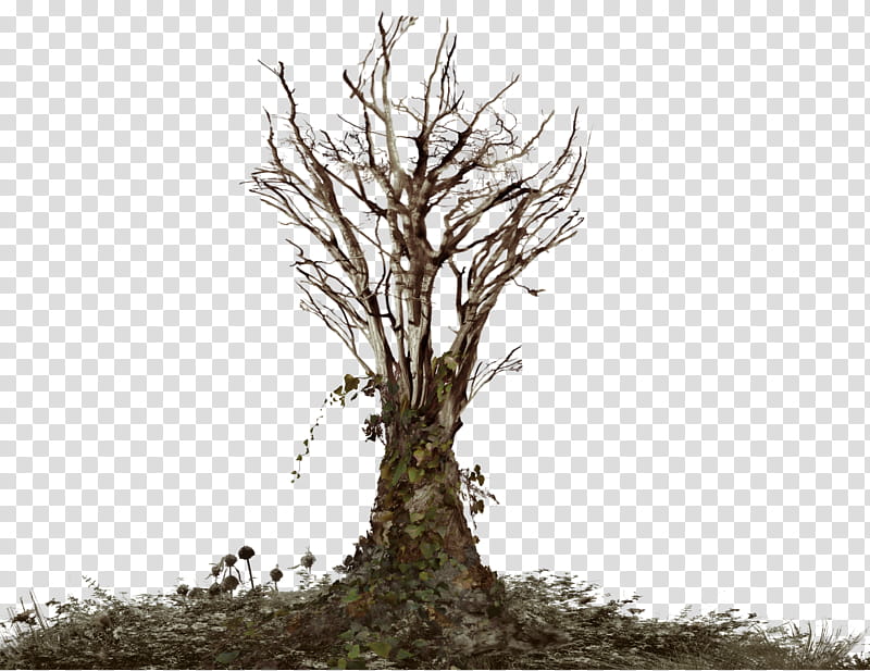 Dead Tree with Ivy Landscape FAVE, bare trees transparent background PNG clipart